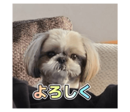 676362998