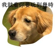 676377121
