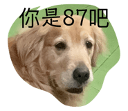 676377122