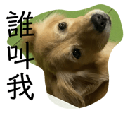676377123