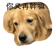 676377124