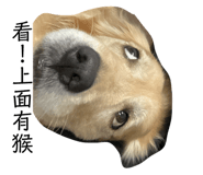 676377136
