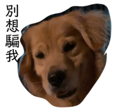 676377151
