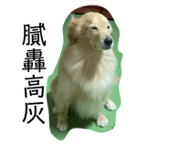 676377156