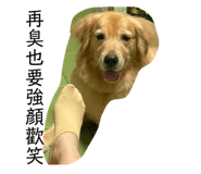676377157