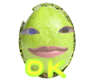 676378550