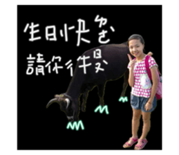 676389394
