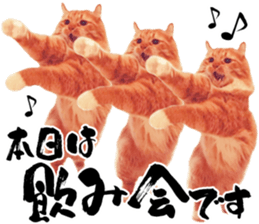676436774
