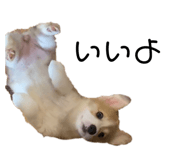 676455870
