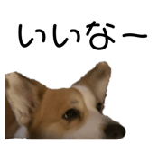 676455871