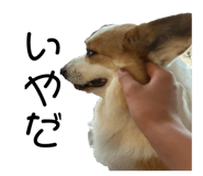 676455872