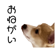 676455876