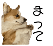 676455877