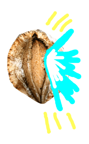 676468608
