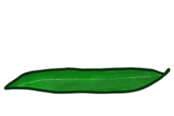676468725