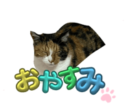 676470896