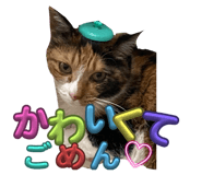 676470897