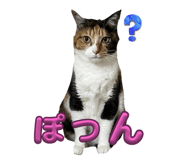 676470900