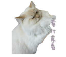 676473258