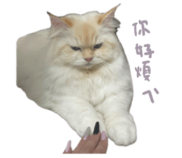 676473260