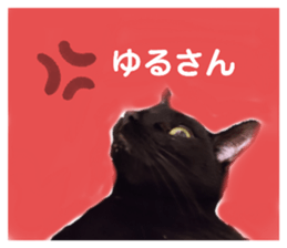 676480751