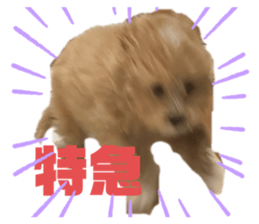 676489619