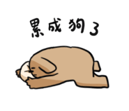 676496016