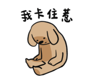 676496038
