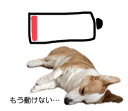 676502719
