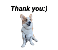 676502724