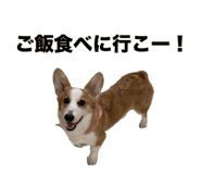 676502729