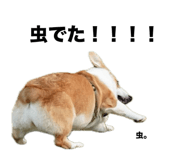 676502745