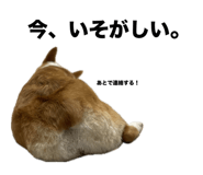 676502746