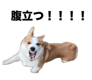 676502747