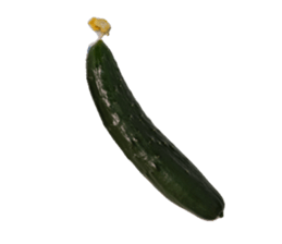 676503630
