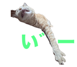 676516095