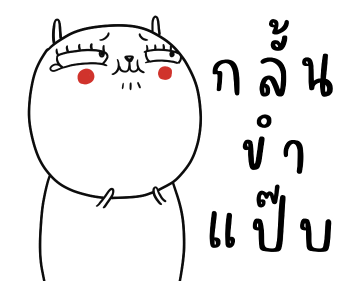 ลายที่ 17