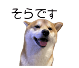676528464