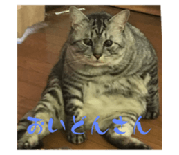 676529764
