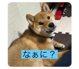 676529773