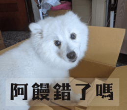 676542912