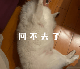 676542924