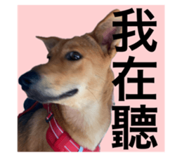 676543496