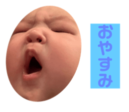 676549038