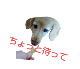 676551288