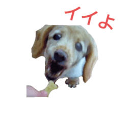 676551289
