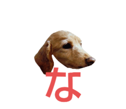 676551291