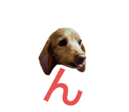 676551293