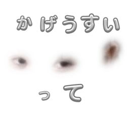 676559561