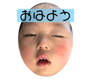 676560733
